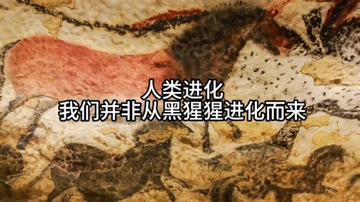 人类进化——我们并非从黑猩猩进化而来——《Crash Course Biology》