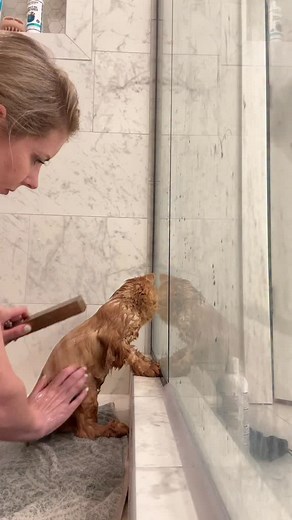 98K views · 6.9K reactions | My soggy lil muppet 凉 | Katie Beth Miedaner | Facebook