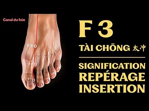Point d'acupuncture : F 3 (tài chōng 太冲) signification, repérage, insertion