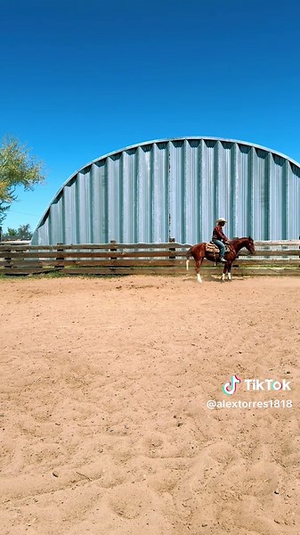 Understanding Snaffle Bits for Mare Training