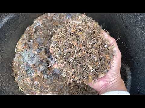 How to Mulch Fall Leaves for Fast Decomposition