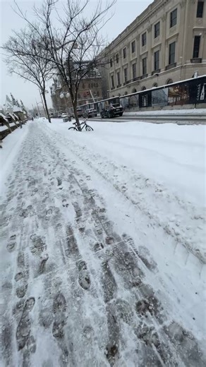 Jane Scharf on Reels