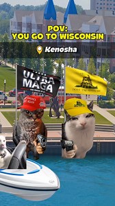 Pov: you go to wisconsin . . . #Wisconsin #travel #usa #funny | Kitty Memes