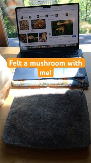 Felt a mushroom with me! #felting #artist #felted #cute #crafting #mushroom #mushroomart