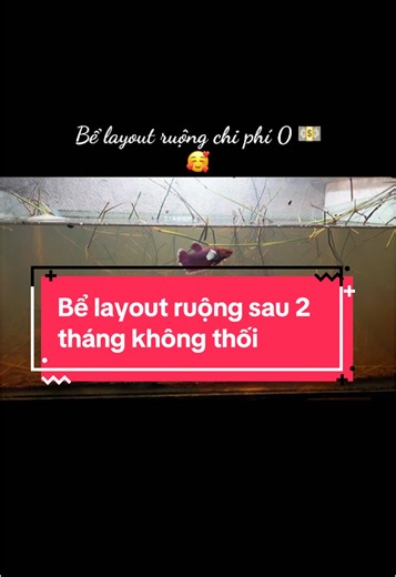 Tài khoản được đề xuất