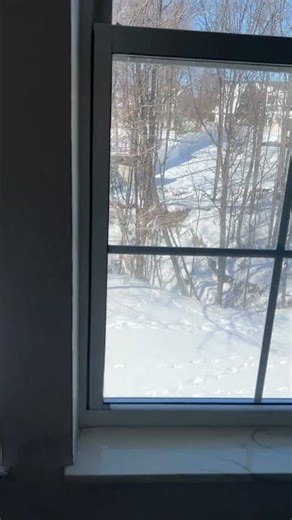 2026-02-01 Window - Water intrusion from gutter overflow