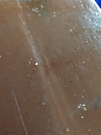 Day 1 Bringing random things at school #bringingrandomthingstoschool #fyp #fafnir #randomthings #beyblade