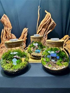 3″ LED Moss Terrarium Globe | Mini Ecosystem | Unique Indoor Decor | Pre-made Terrarium - Etsy