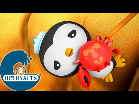 Octonauts - 🦀 Sauver le crabe en chef 👑 | Saison 2 | Meilleurs moments !