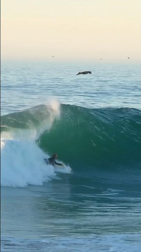 Sider waves for days with Cory Bolter! #Bodyboarding #TheWedge #NewportBeach