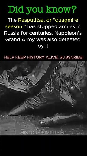 Germany’s Final Push to Moscow DROWNED in "Liquid Mud" — Then Came -45°C | WW2 #shorts #ww2 #history