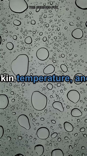 You Can't Actually Feel Wetness