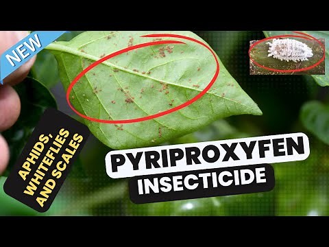 Pyriproxyfen Insecticide Best Pest Control for Agriculture and Public Health #aphids #whiteflies