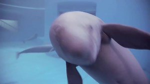 56K views · 1.1K reactions | See this face? There are only about...