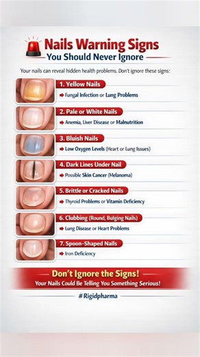 Your Nails Are Warning You! Don’t Ignore These Signs 😳 | Hidden Health Problems Explained