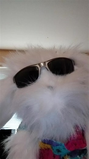 #comedy#puppets#puppetsoftiktok#puppeteer#puppet