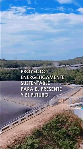 Proyecto en marcha ♻️ BIOENGINE Y TSE
