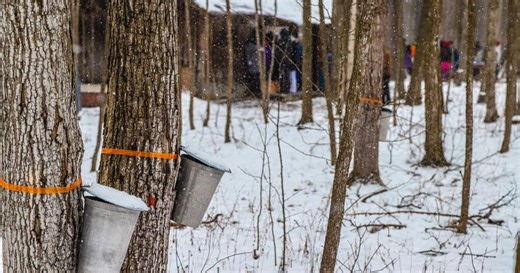 These Ontario sugar shacks offer the ultimate maple experiences from starlit rides to pancake feasts