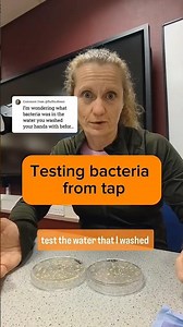 Bacteria in tap water.
