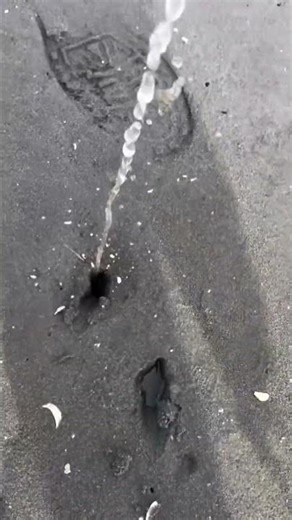 Water coming out of wet sand due to underground pressure #nature
