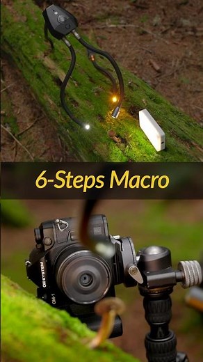Macro Made Easy: My 6-Steps for Better Photos 📸 🍄