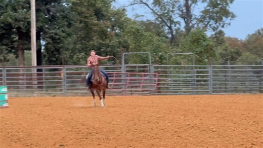 2.4K views · 52 reactions | NEELI AND GUS MAKING SOME PROGRESS ON THE RUN TONIGHT!! | Max Bishop | Facebook