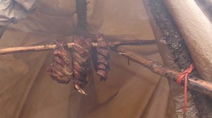 10K views · 212 reactions | Here's a sizzle reel and a link to my YouTube channel. I thought some of my fellow adventurers would be interested in subscribing. I share a bunch of the skills I use when I'm in the bush. There are few good vids up, and more to come. https://www.youtube.com/channel/UCqNjB7rqcH1XFBW4sMfx9VQ #AloneShow #Adventurer #Survival #Expedition #Outdoor #woodsman #Bushcraft #Canoeing | Jim Baird - Adventurer | Facebook