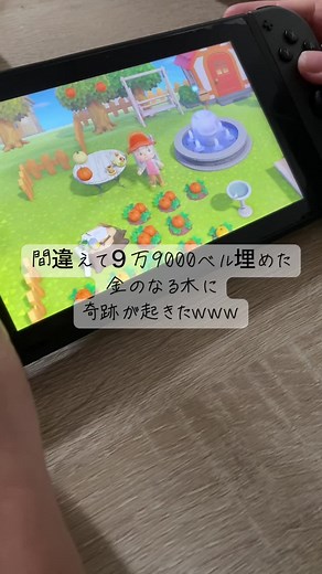 間違えて埋めた9万9000ベルから金のなる木