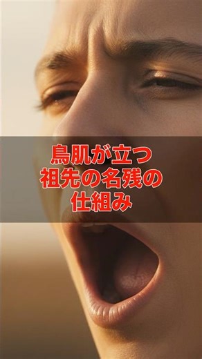 寒くないのに鳥肌が立つ仕組み #shorts #仕組み #鳥肌 #人体