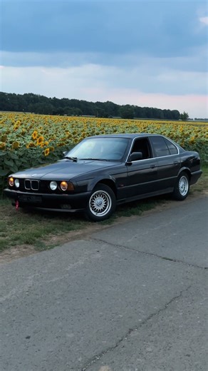 How to Train Your Dragon with BMW Oldtimer Inspiration