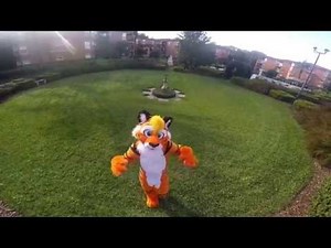 Air Balloon (Furry Music Video)