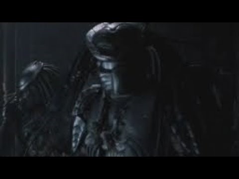 The Chopper Predator in Hunting Grounds