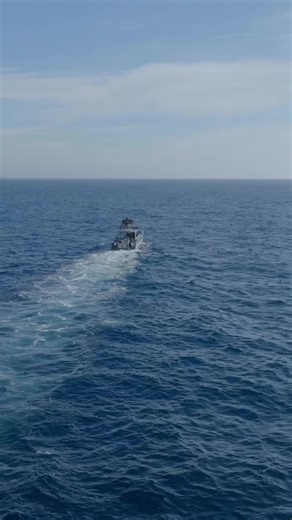 You’re not a fisherman! Local Knowledge S10:E7 “The Bluefin Backup Plan aboard “Killer Bee”. Available Now on YouTube, Waypoint TV & Streaming apps