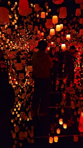 20260126 165431 京都旅行チームラボ