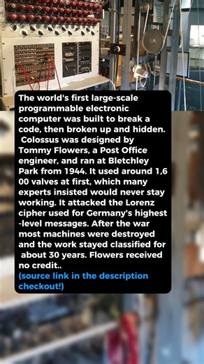 World's first programmable computer stayed secret for decades #short #history #ww2