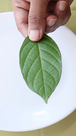 10K views · 172 reactions | How to make Leaf printing Bedsheet殺 #reels | Nice Craft | Facebook