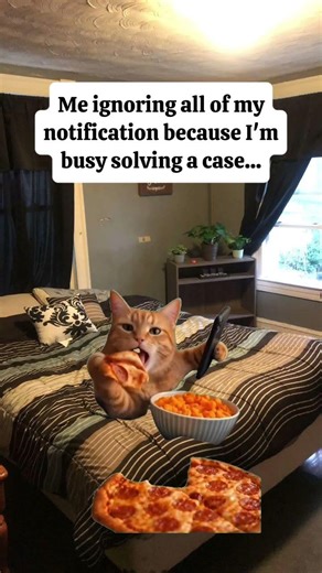 do not disturb. lol #funny #memes