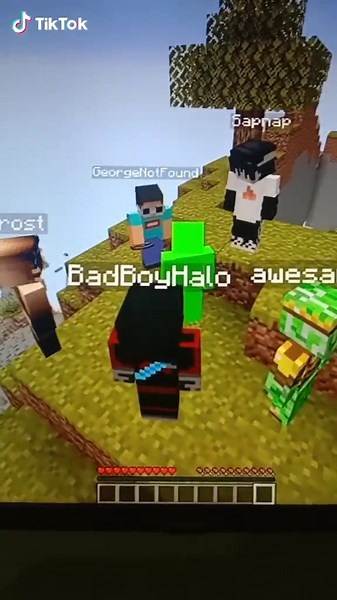 Exploring a Minecraft-Inspired Virtual Landscape