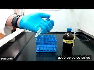 Extraction of Caffeine