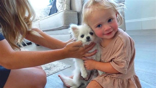 Why We Can’t Make Posie’s Dream Come True