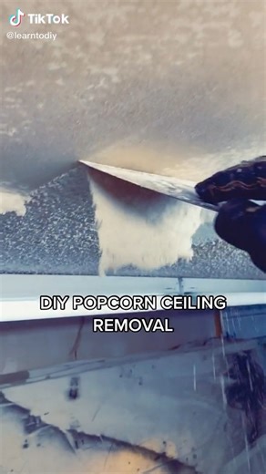 8.1K views · 15 reactions | DIY popcorn ceiling removal #homerenovation #remodel #doityourself #DIY #homemakeover | Nik and Liv DIY | Facebook