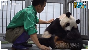 40K views · 2.5K reactions | Fatty too fat and sad but grandpa will not give up on that fat thing..... Welcome to https://shope.ee/5AOgCmpkOQ | Cutemonster | Facebook