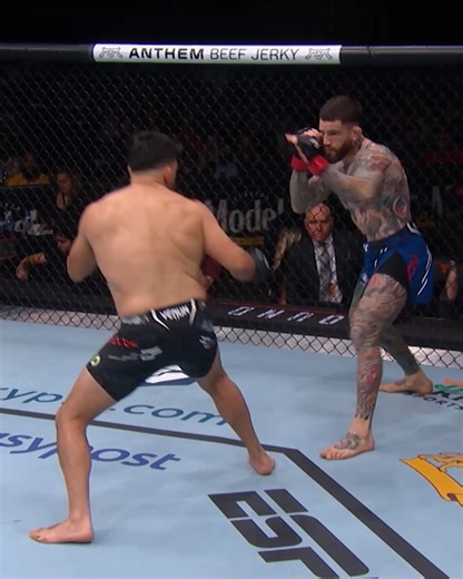 17-1 🔥 Sean Brady is a dark horse at welterweight! #UFCLondon | UFC