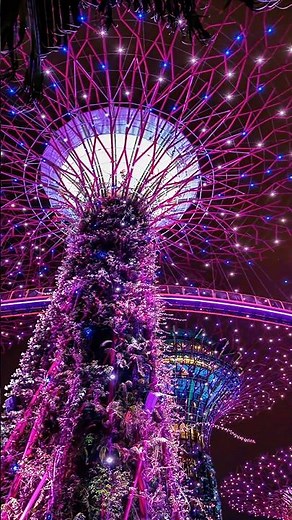 The Supertree Grove in Singapore 🇸🇬