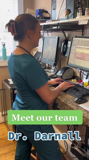 Get to Know the Village Animal Hospital Team!