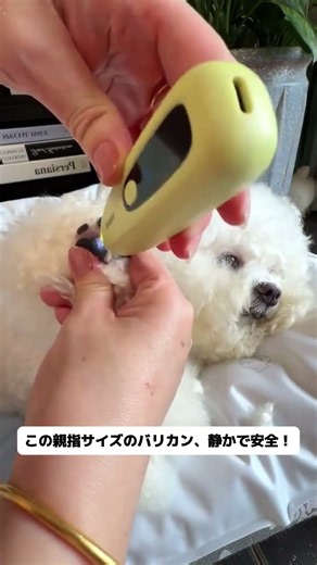 低音設計！犬が怖がらない、セラミック刃で毛絡みも肌傷みもなし！ #犬用品 #犬のトリミング #バリカン #換毛期 #初心者向け