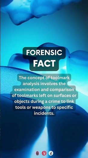 Tool mark Analysis | #crimesceneinvestigation #forensicscience