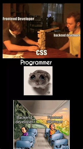 Backend Developer #shorts #developer