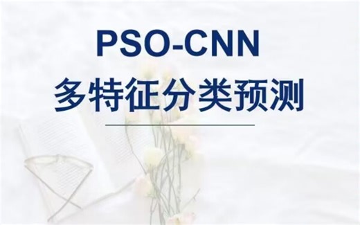 粒子群算法(PSO)优化卷积神经网络CNN分类预测，PSO-CNN分类预测，多输入单输出模型。
