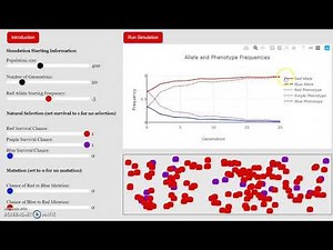 Heterozygote Advantage
